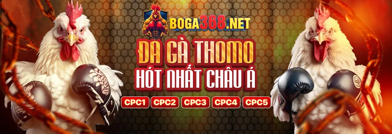 Hình ảnh tổng quan về tin tức rt88 nhà cái