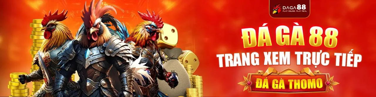Đá gà trực tuyến sôi động tại rt88 nhà cái