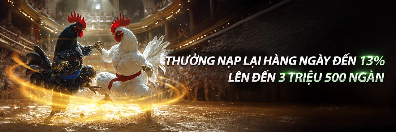 Đá gà trực tuyến kịch tính tại rt88 nhà cái